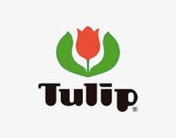 Tulip tığ, Tığ, Şiş,Yün,Örgü